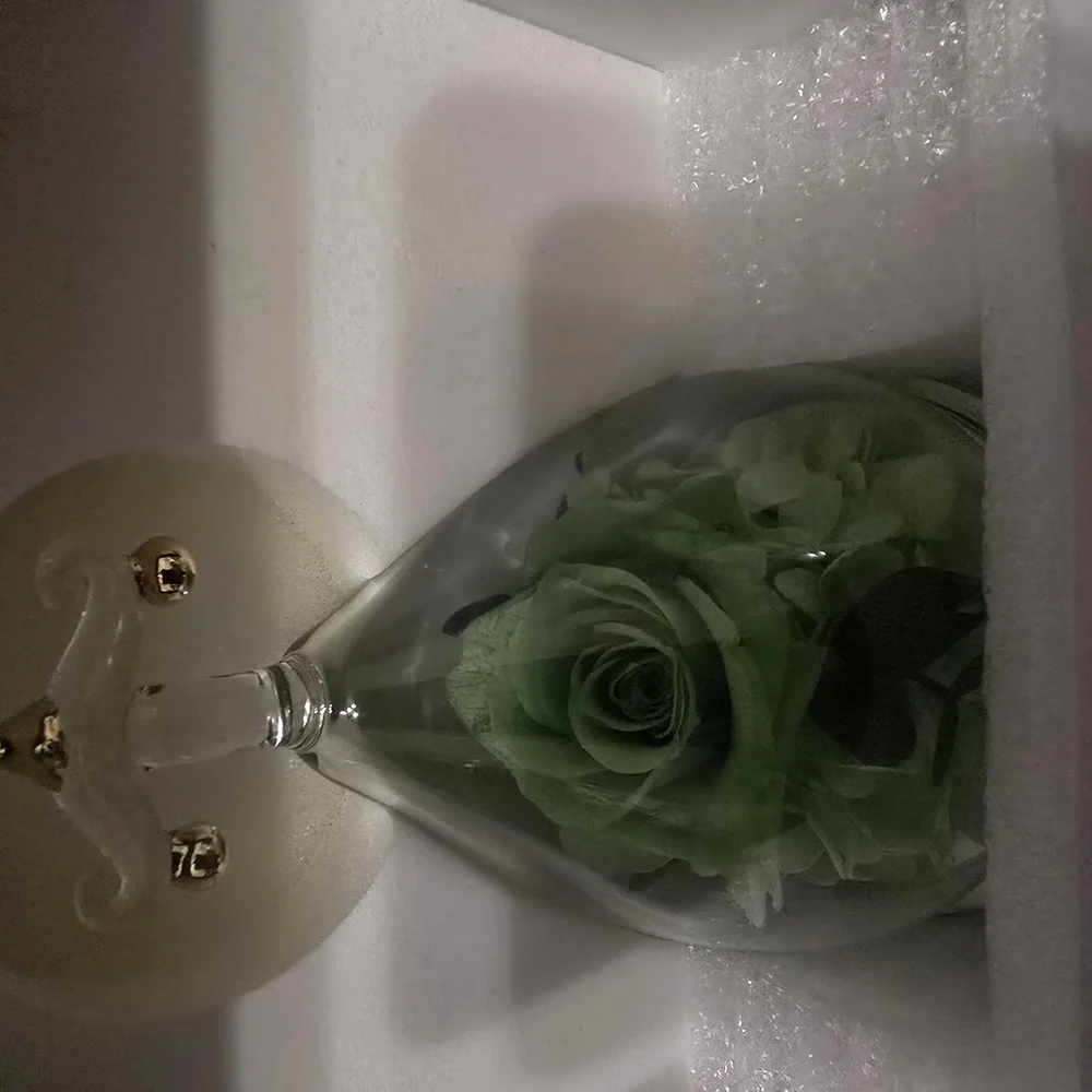 Hoomna Preserved Green Rose in Glass Dome – Elegant